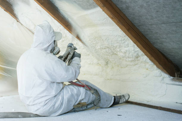 Best Attic Insulation Installation  in Downers Grove, IL